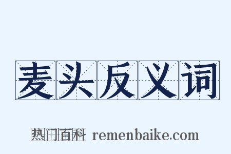 麦头反义词是什么意思的图片
